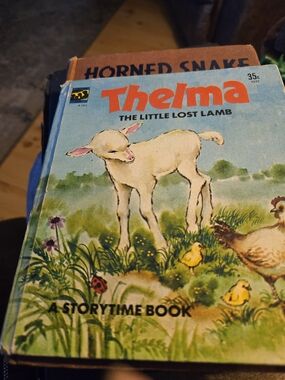 THELMA THE LITTLE LOST GOAT